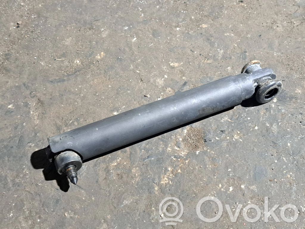 Tailgate/trunk strut/damper   7149631