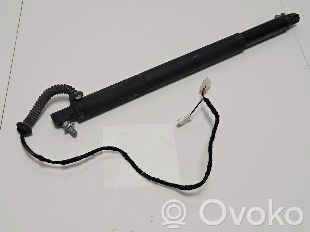 Tailgate/trunk strut/damper   7332698,M1437003,09082012