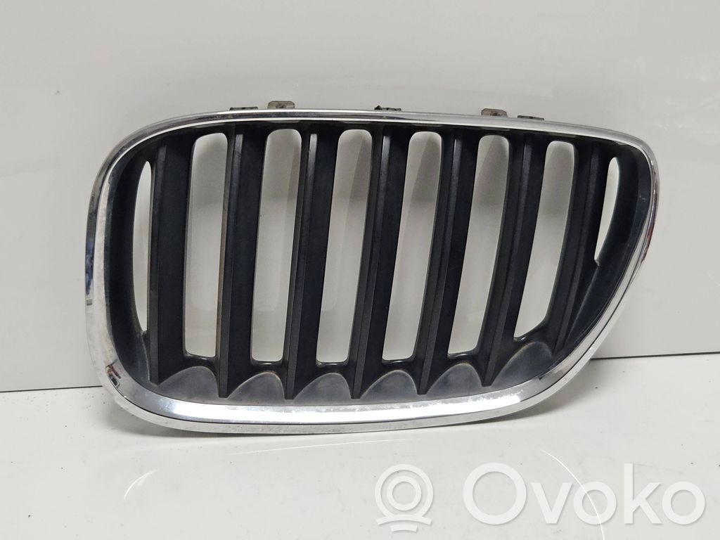 BMW X5 E53 Front bumper upper radiator grill 