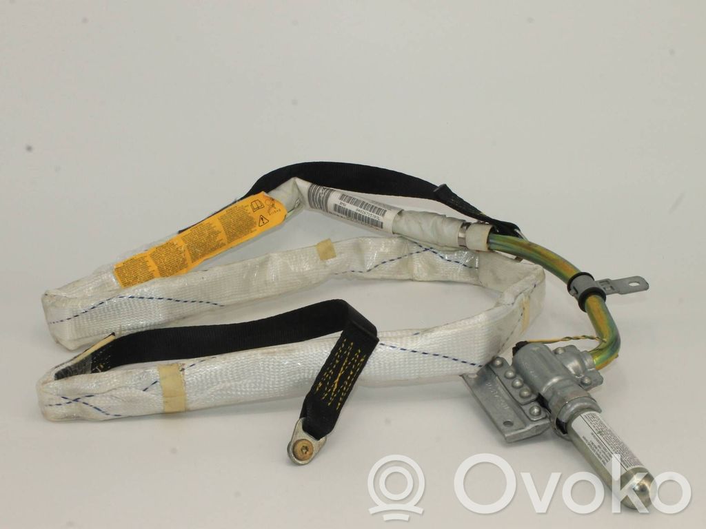 BMW X5 E53 Airbag del techo 