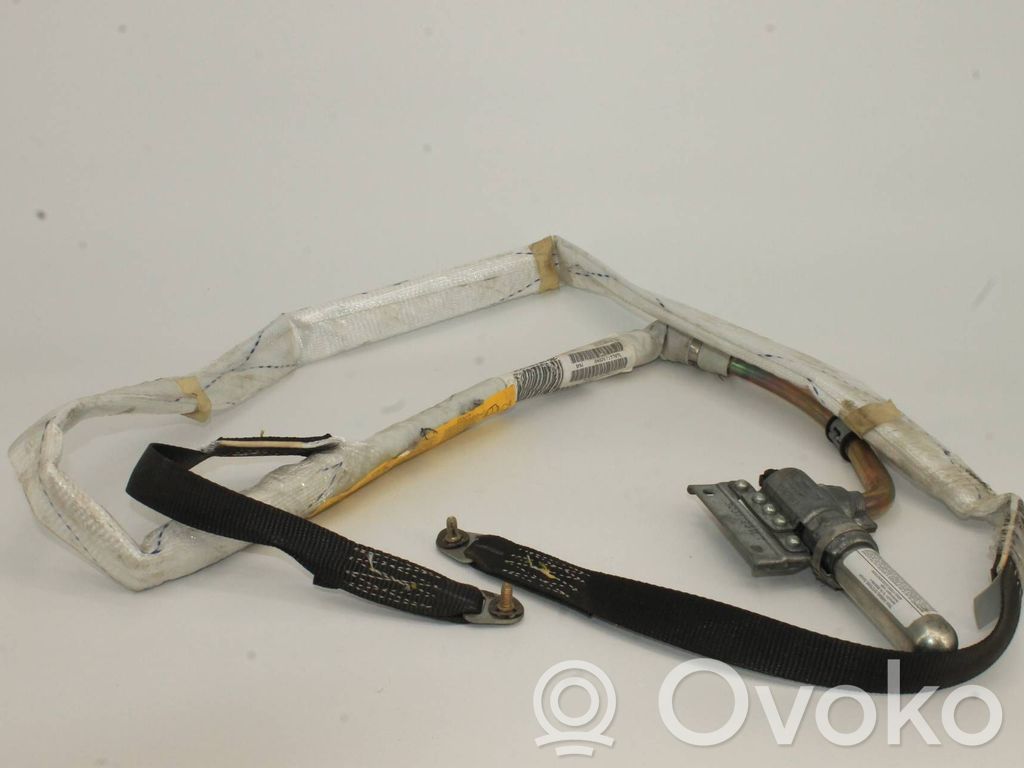 BMW X5 E53 Airbag del techo 
