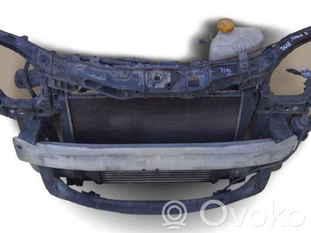 Radiatorių panelė   D658