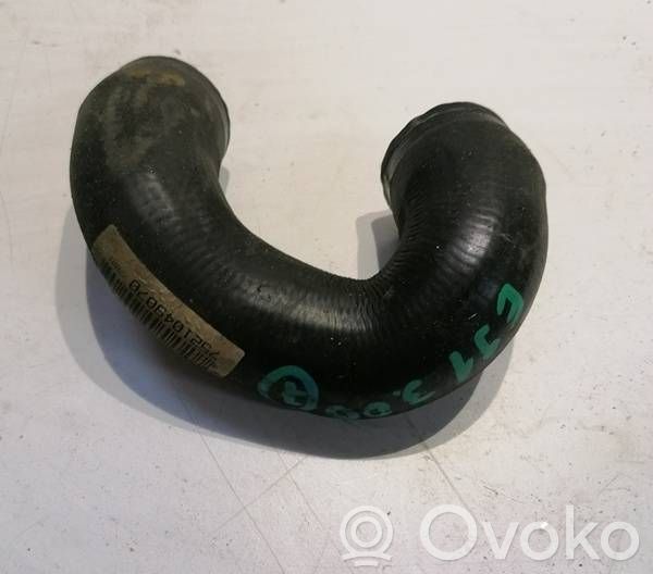 Engine coolant pipe/hose   7521049070,77001