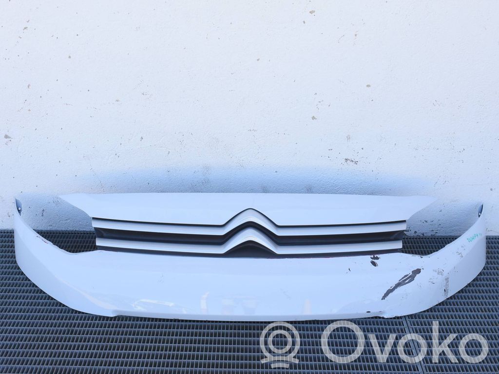 Citroen Jumpy Etupuskuri 