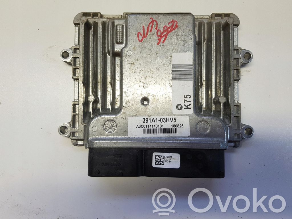 Hyundai Ioniq Other control units/modules 