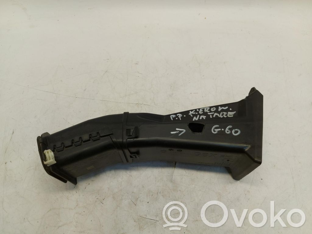BMW 5 G60 G61 Mască radiator 