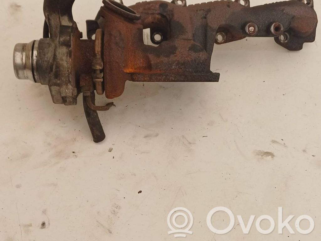 Turbina   7064991