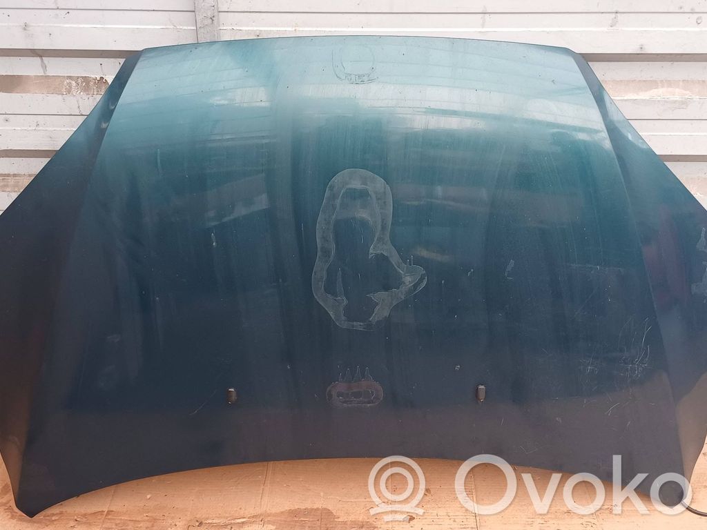 Engine bonnet/hood