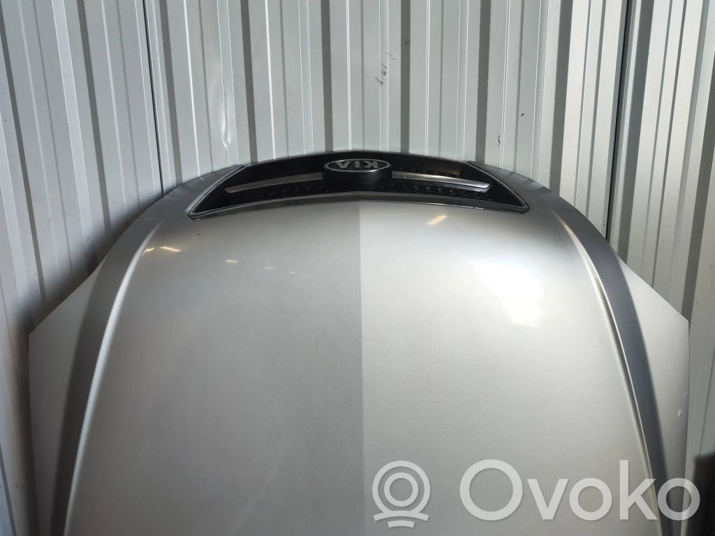 Engine bonnet/hood