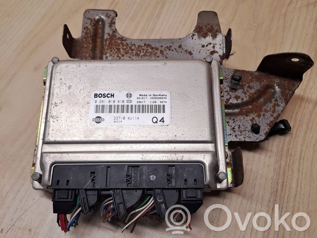 Nissan Almera Tino Engine control unit/module 