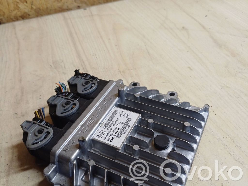 Peugeot 407 Engine control unit/module 