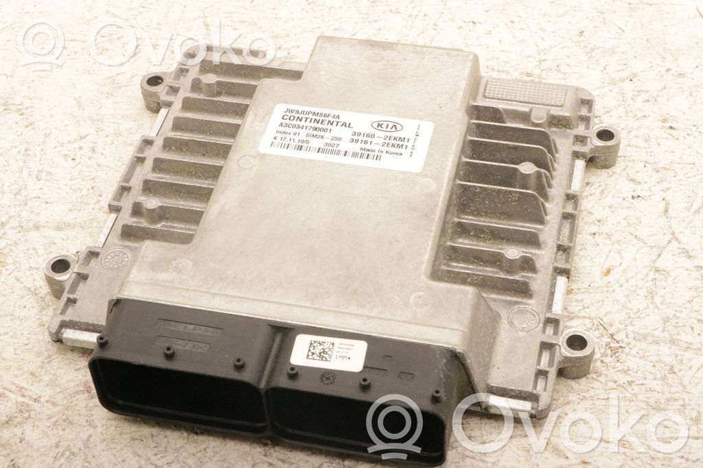 KIA Optima Engine control unit/module 