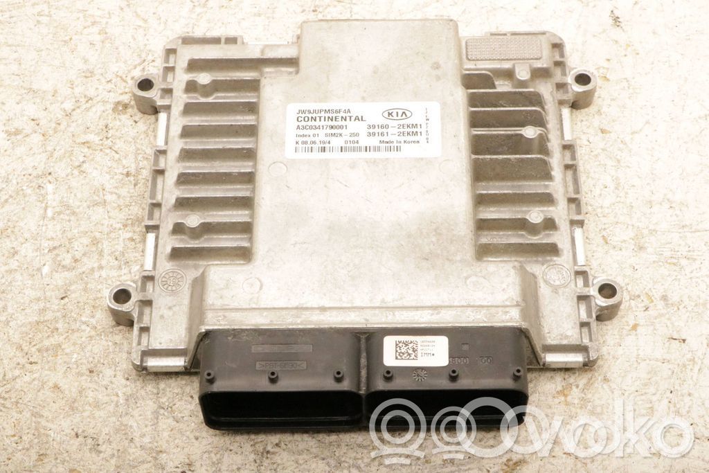 KIA Optima Engine control unit/module 