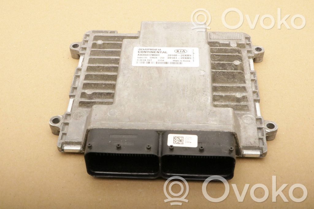 KIA Optima Engine control unit/module 