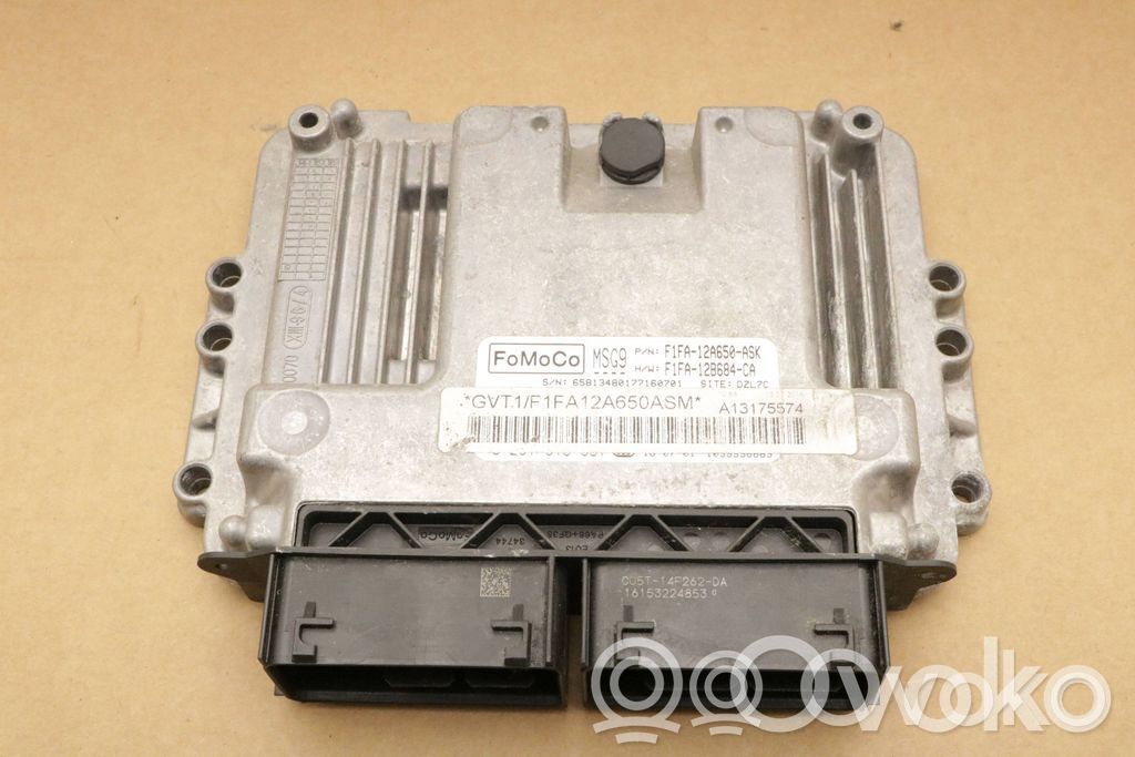 Ford Focus Engine control unit/module 