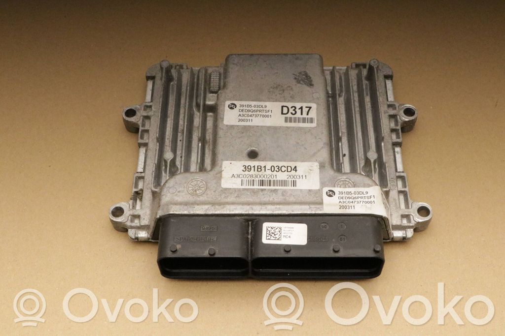 Engine control unit/module   391B503DL9,391B13CD4,391B13CD4