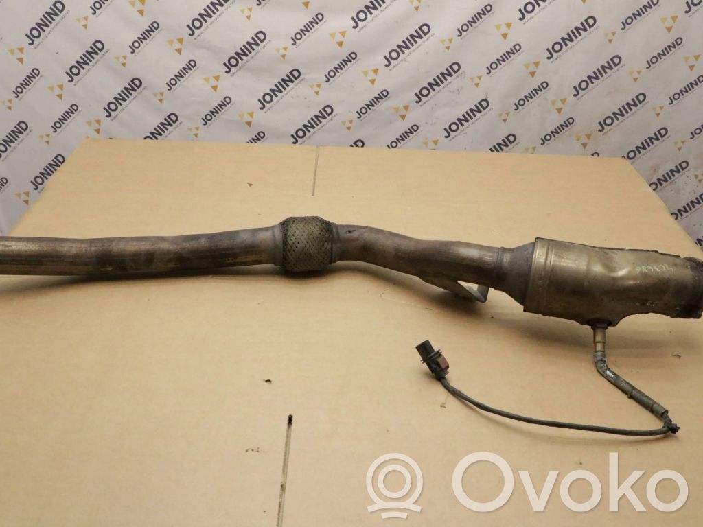 Audi RS6 C6 Filtru de particule catalizator/FAP/DPF 