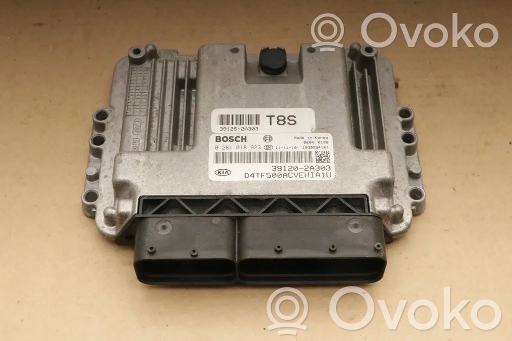 KIA Optima Engine control unit/module 