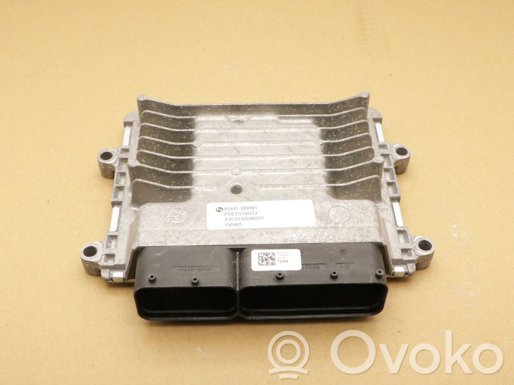 Engine control unit/module   954412BBN1,954412BBN1