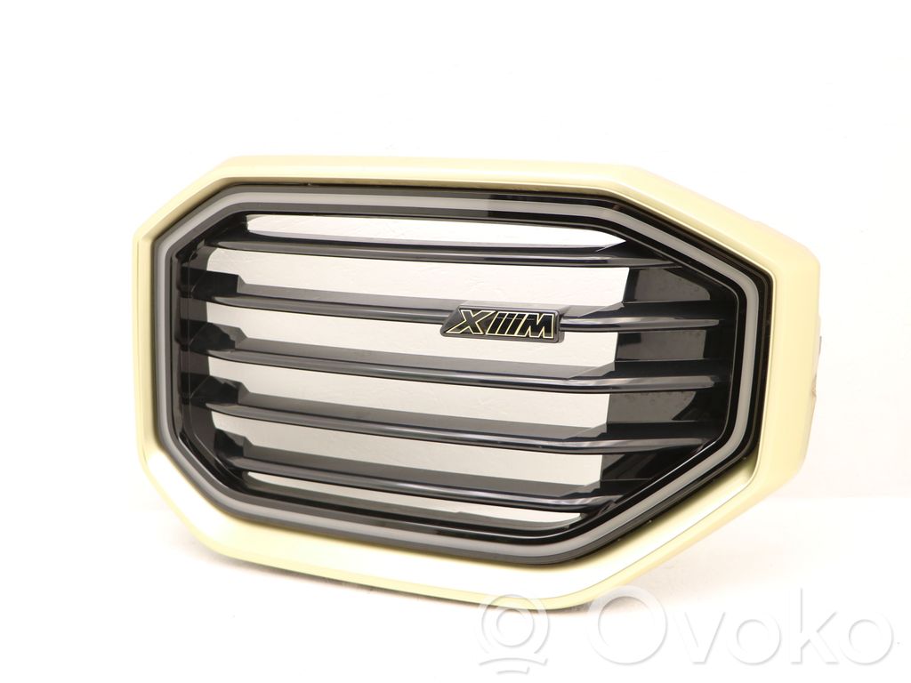 Maskownica / Grill / Atrapa górna chłodnicy   51139882977,9882977