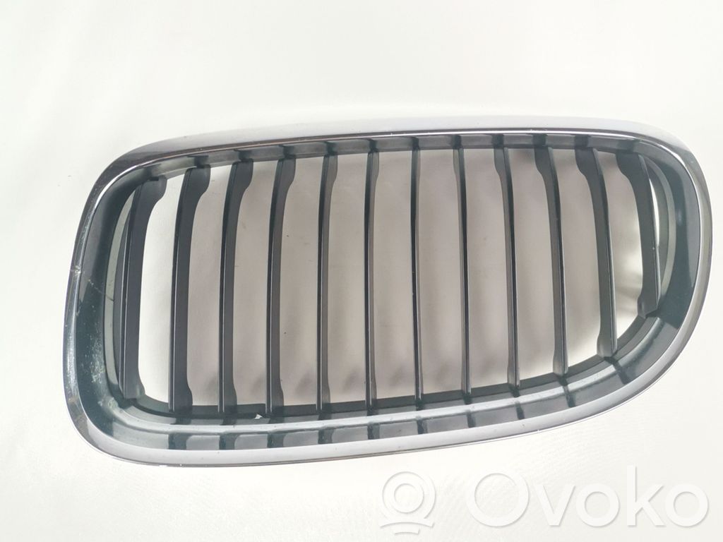 Oberes Gitter vorne   51137201967