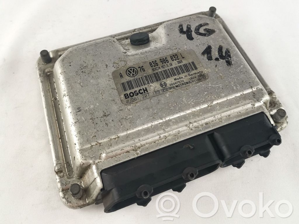 Engine control unit/module   0261207189,036906032L,26SA7572