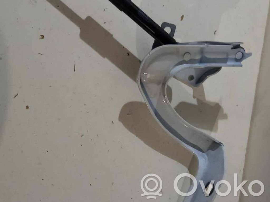 Scharnier Motorhaube   169257600A,7512200410N,28022A32