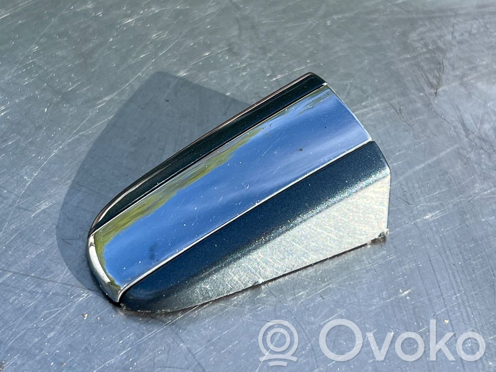 Volkswagen Phaeton Coperchio portiera di carico 