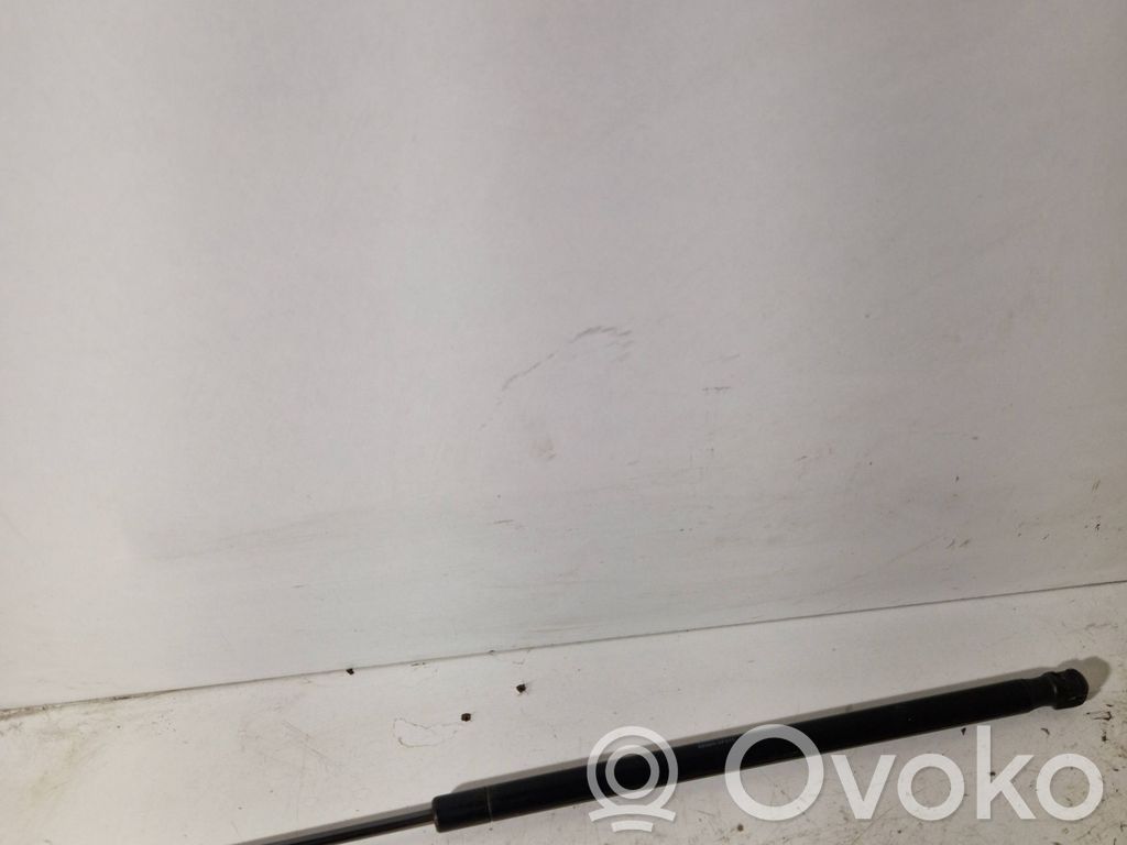 Toyota Corolla Verso AR10 Tailgate/trunk strut/damper 