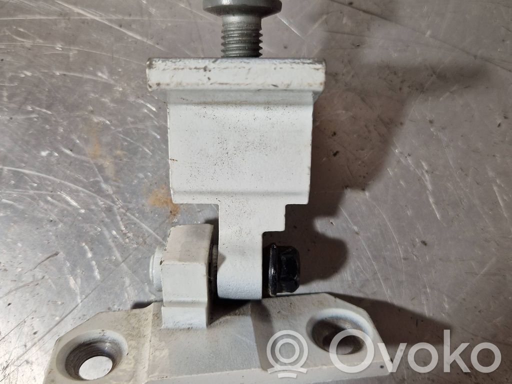 BMW X6 E71 Rear door hinge set 
