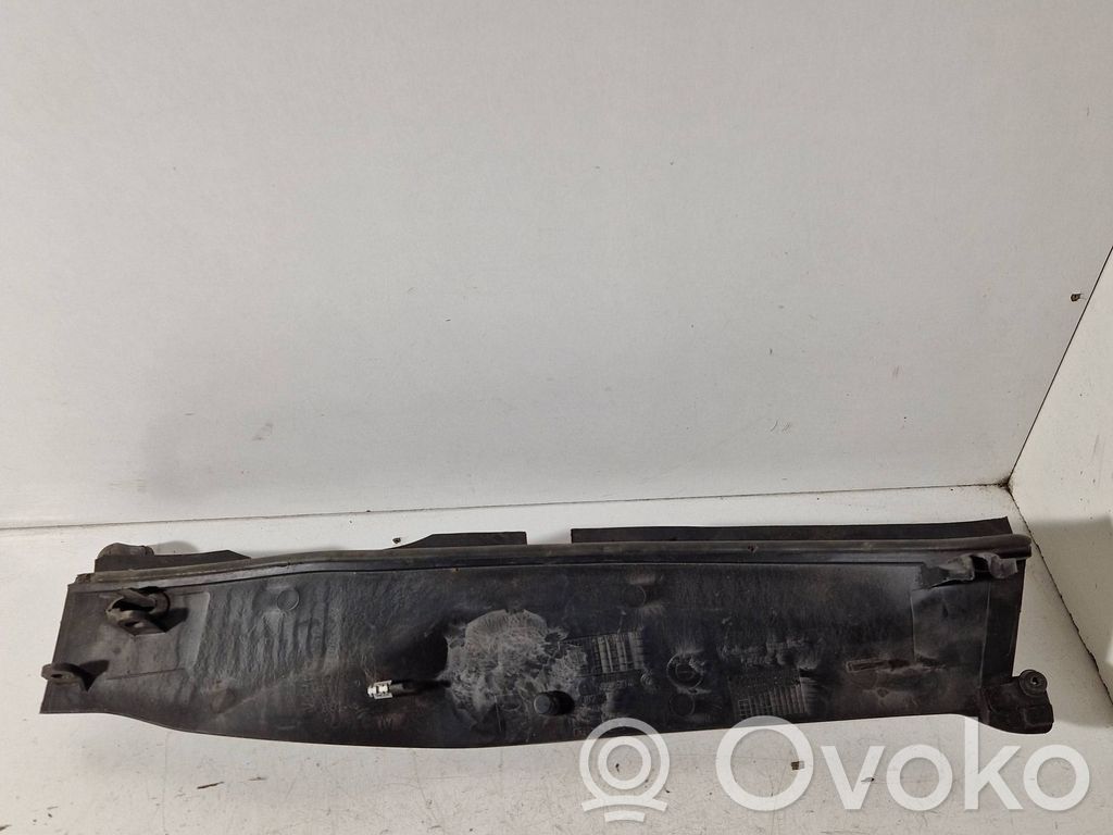 Moldura del limpia   504601