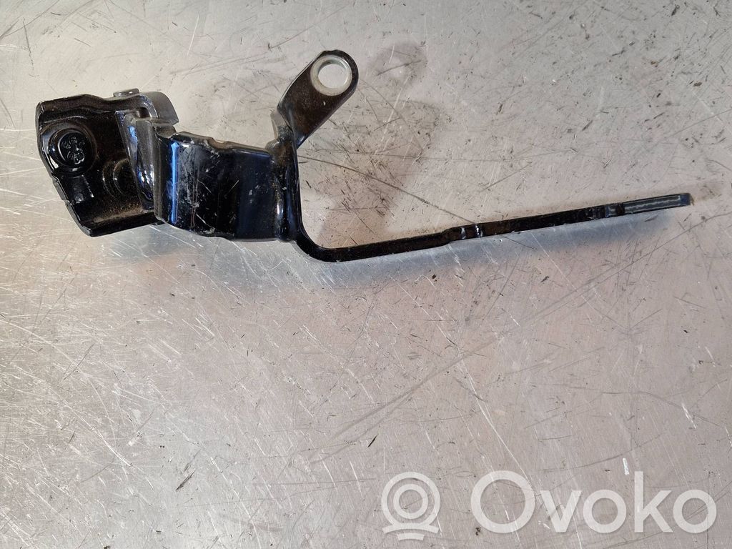 Audi A5 8T 8F Tailgate/trunk/boot hinge 