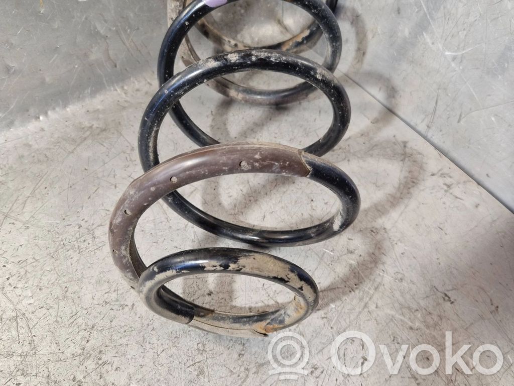 Front coil spring