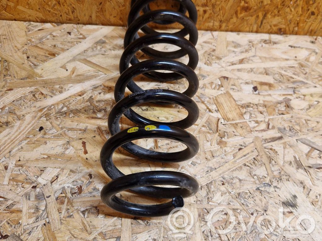 Rear coil spring