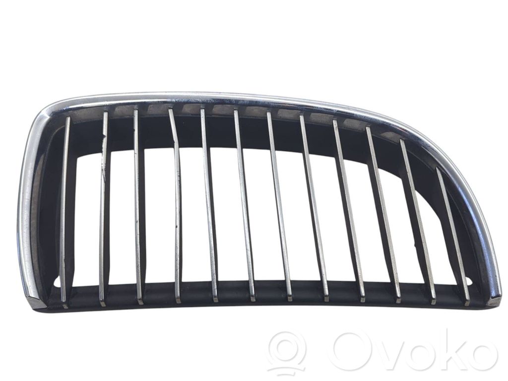 Front grill   7120010,22405910