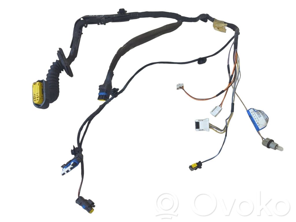 Cableado de puerta trasera   8200417674