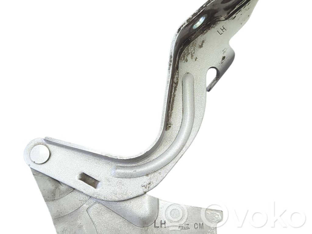 Hyundai Santa Fe Engine bonnet/hood hinges 