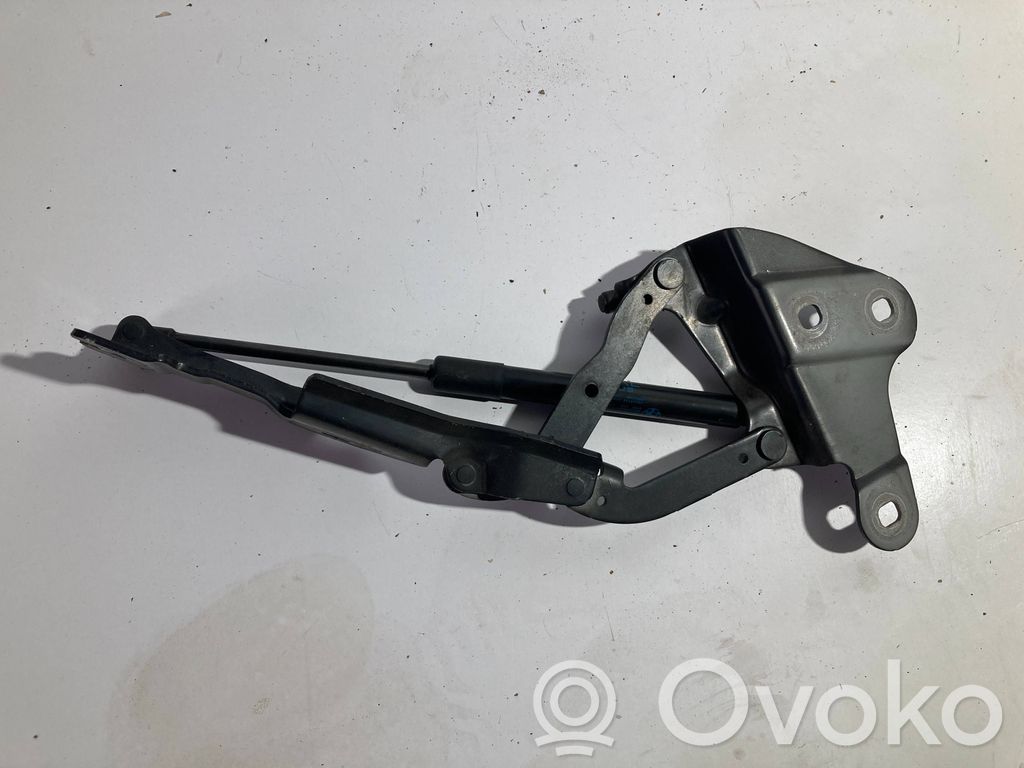 Engine bonnet/hood hinges