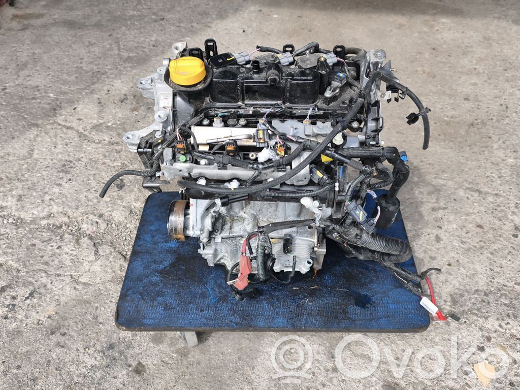 Engine   H4DF480,100017756R,H4DF,H4DF80