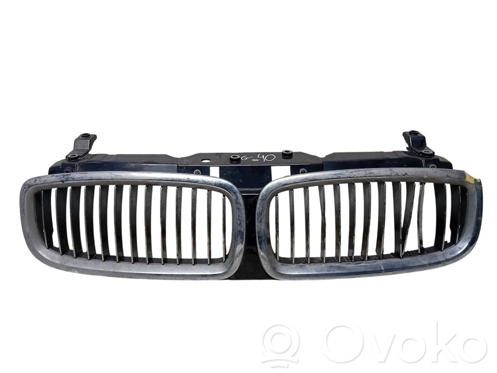 Front grill   51137037727