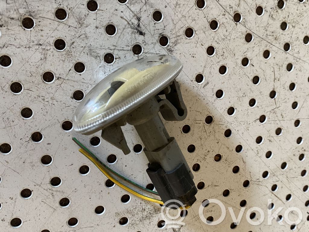 Peugeot 307 Seitenblinker 