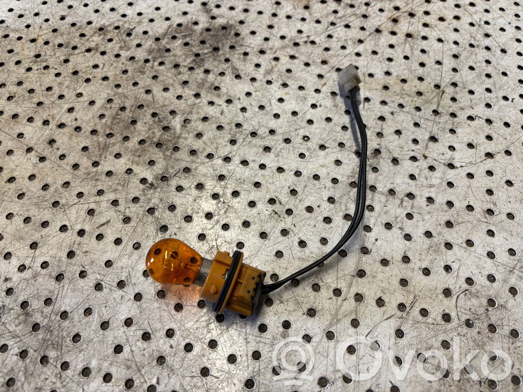 Glühbirne Scheinwerfer