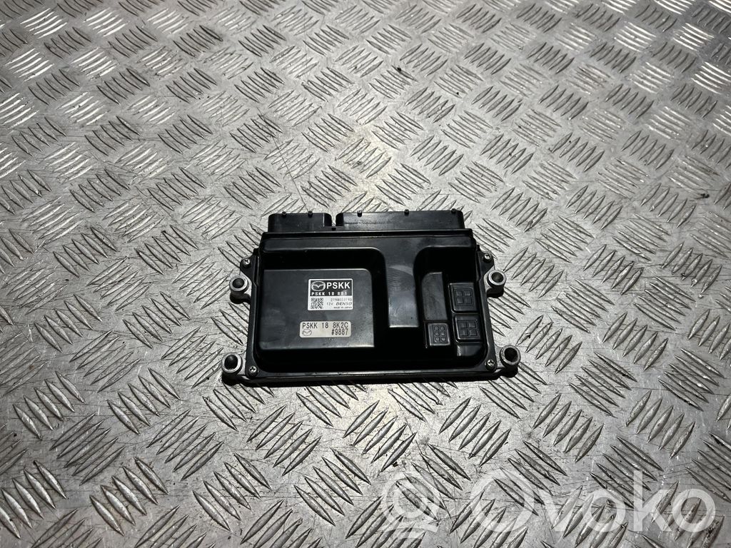 Engine control unit/module ECU   PSKK18881,PSKK18881