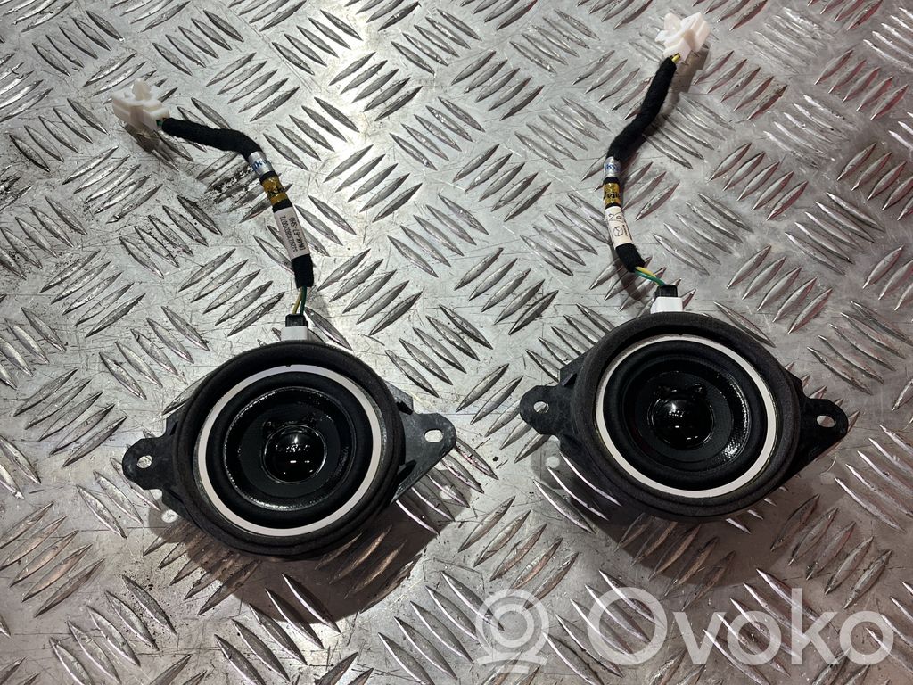 Altavoz de la puerta delantera   BGW566A60,BGW566A60