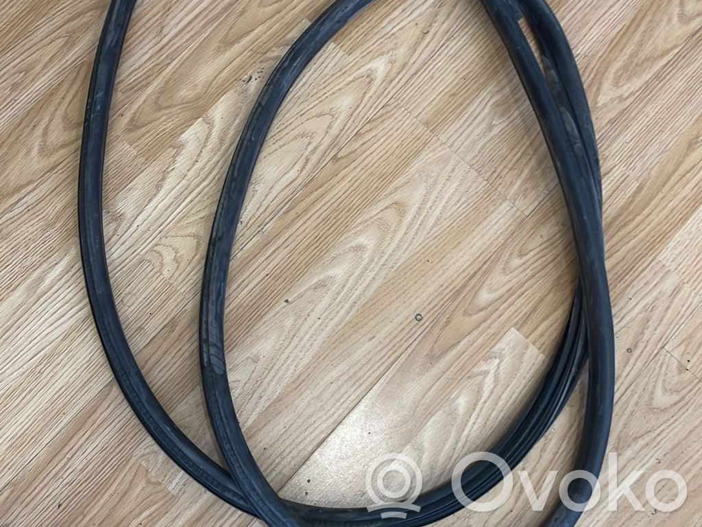 BMW 1 E81 E87 Front door rubber seal 
