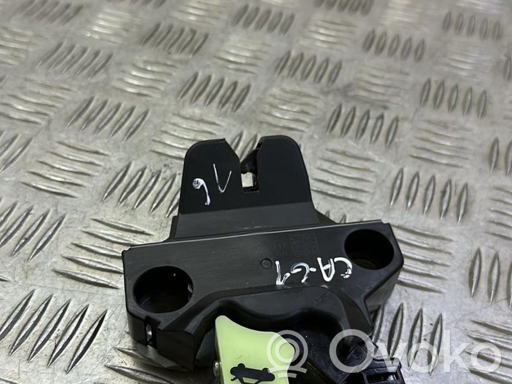 Tesla Model 3 Tailgate/trunk/boot lock/catch/latch 