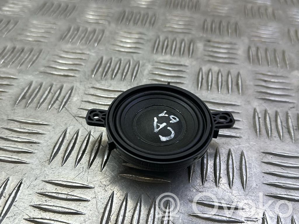 Tesla Model 3 Panel speaker 