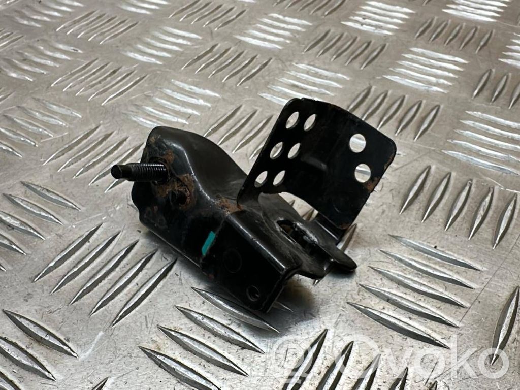 Renault Megane III Kita variklio skyriaus detalė 