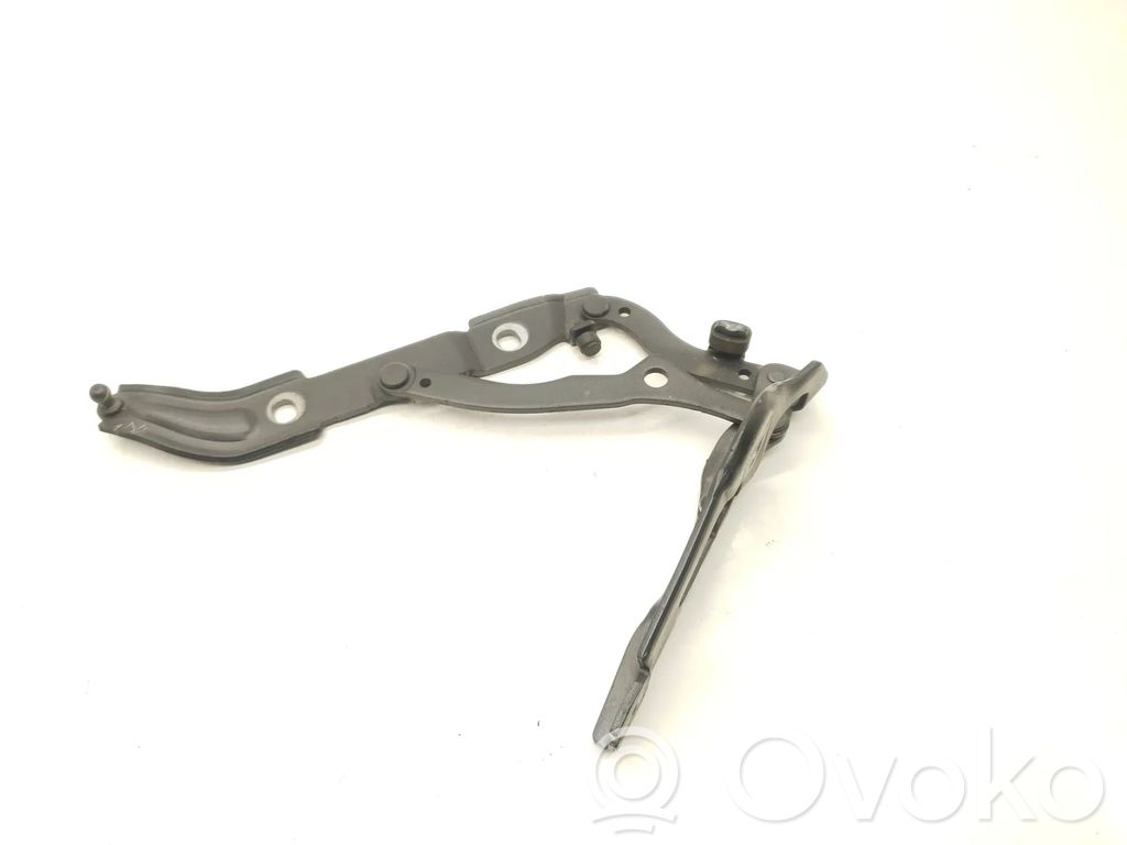 Tailgate/trunk/boot hinge   706062807