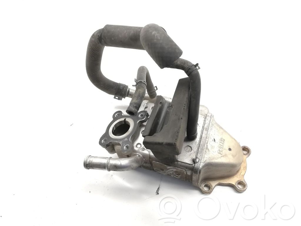 Válvula EGR   S5502030Y